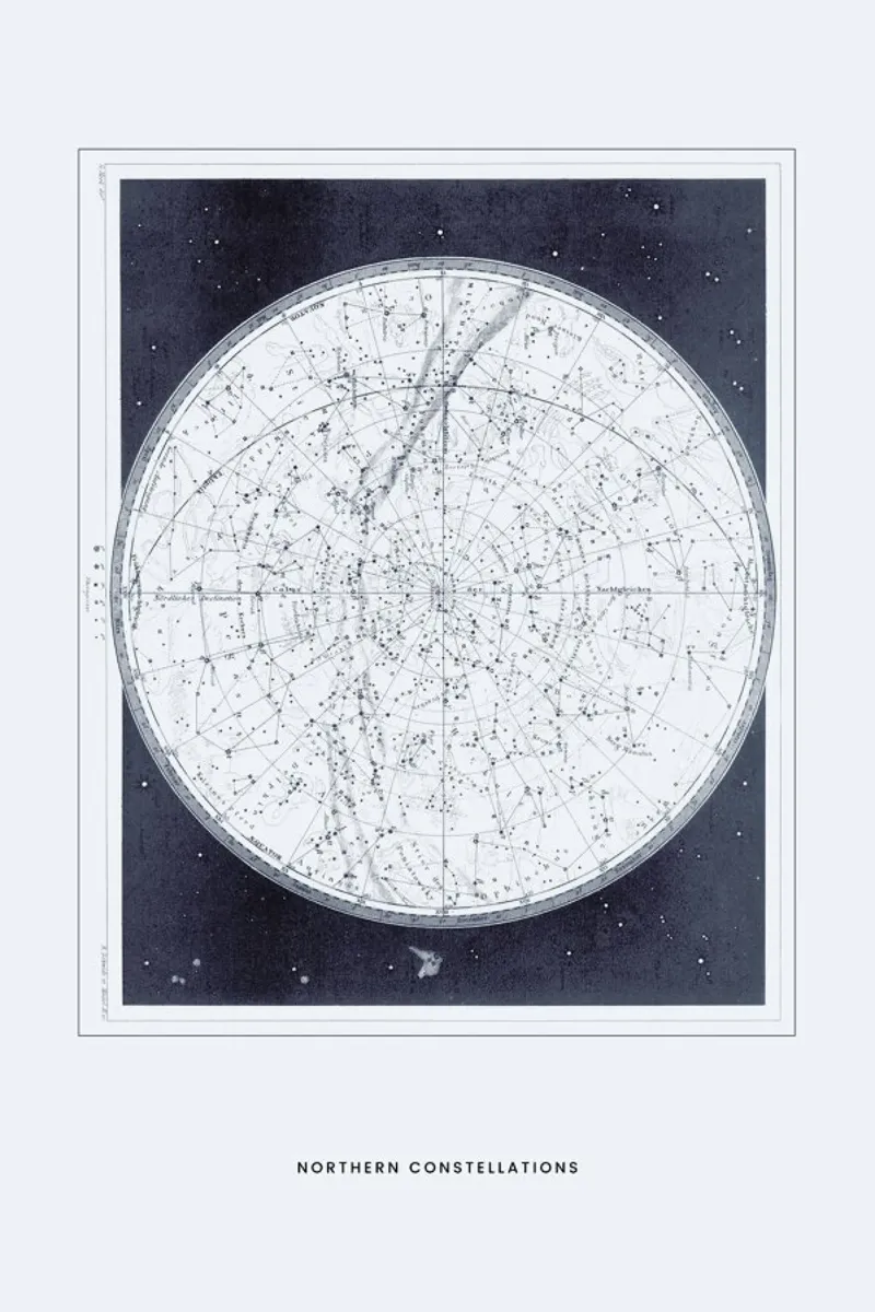 Northern Constellations II pellicola backlit da Flora & Fauna
