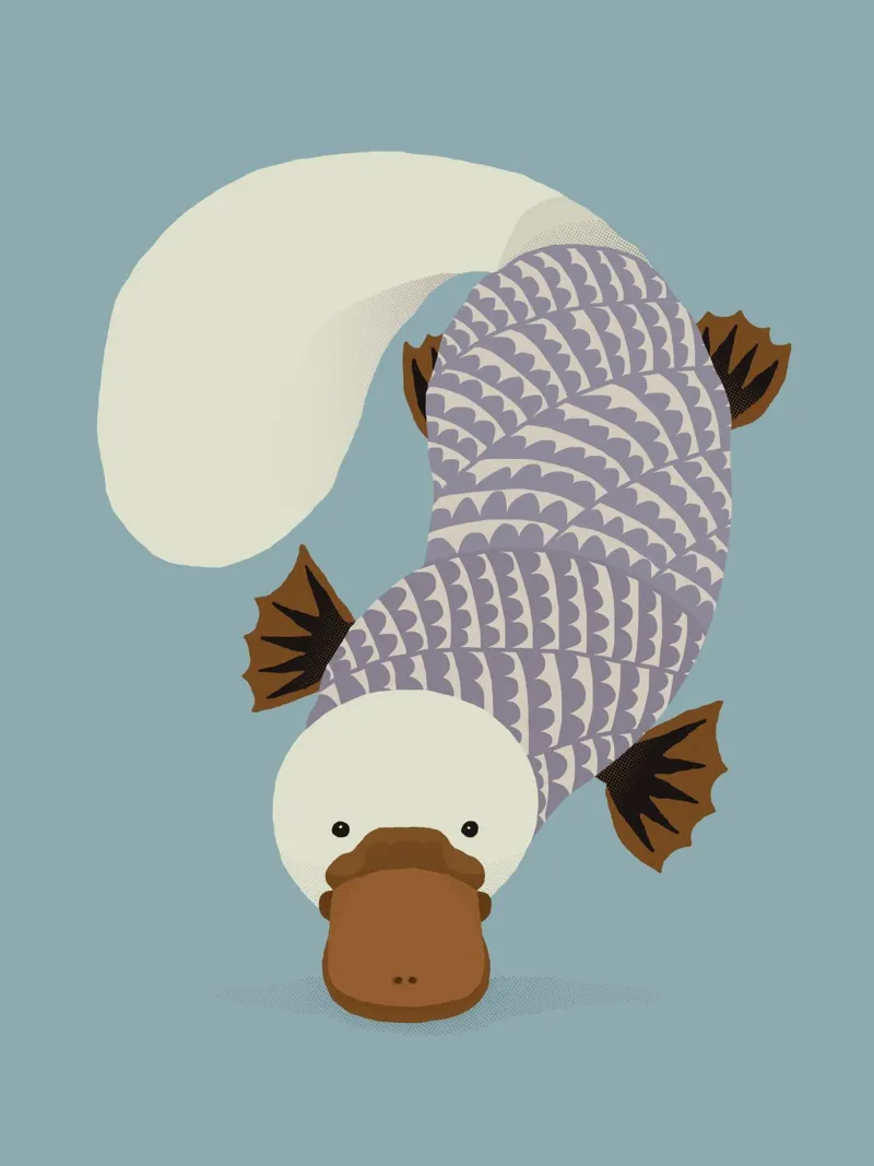 Ornitorinco stravagante poster con telaio in alluminio da The Printed Sparrow