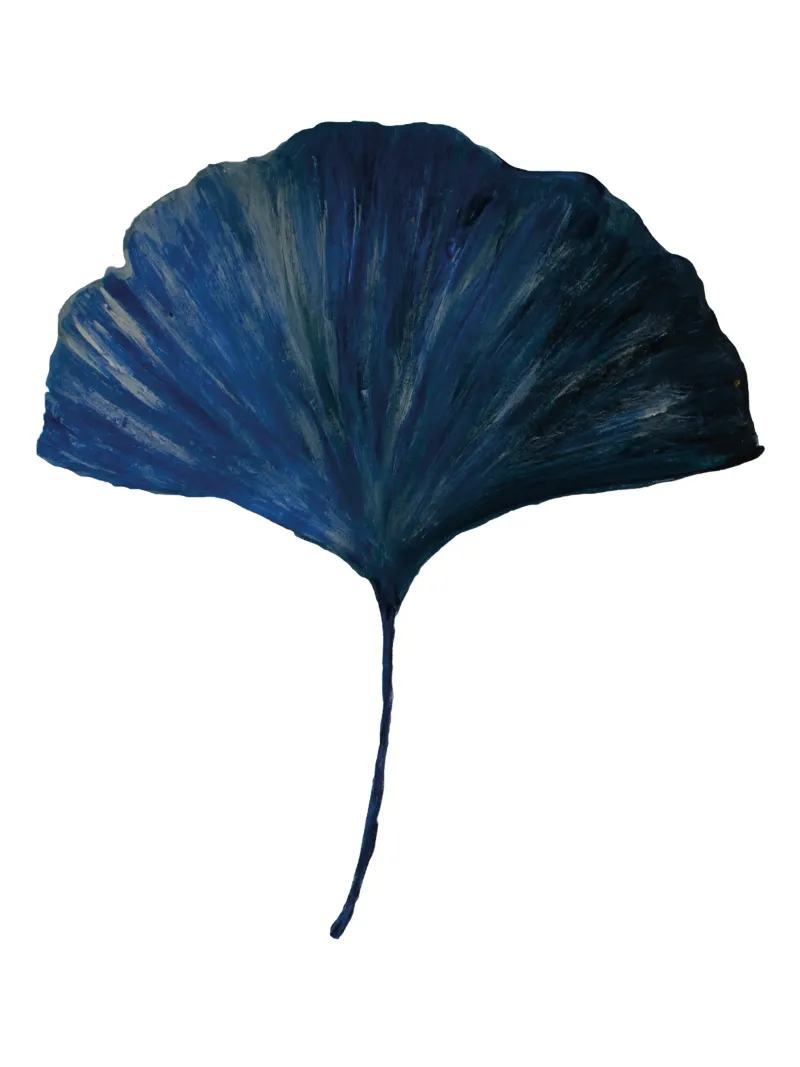 Ginkgo leave blue pellicola backlit da Femke Zwaan