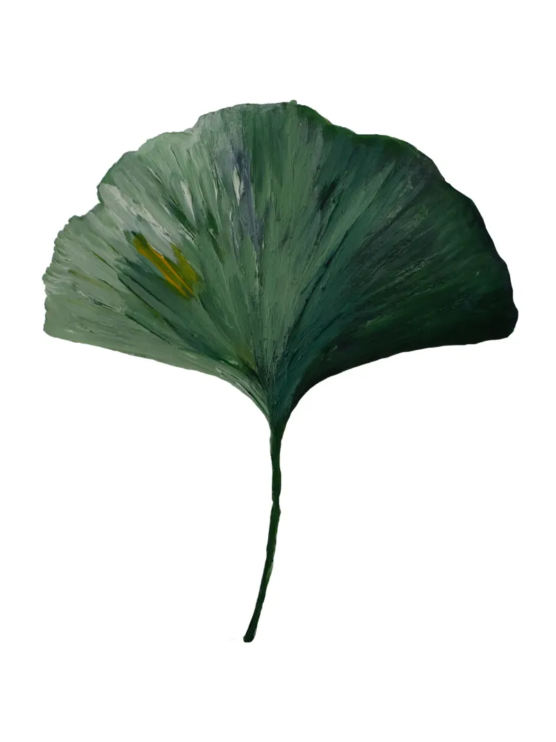 Ginkgo leave green carta hahnemühle da Femke Zwaan