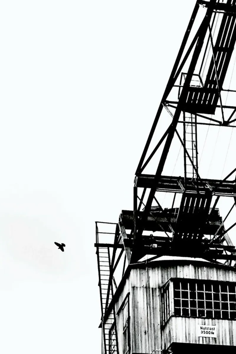 Epic Crane pellicola backlit da Babett Schultze