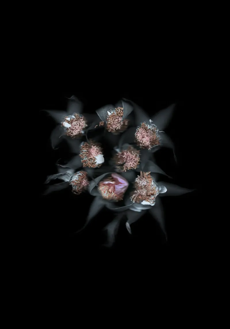 The Art of Destruction IV carta hahnemühle da Muted Blossom
