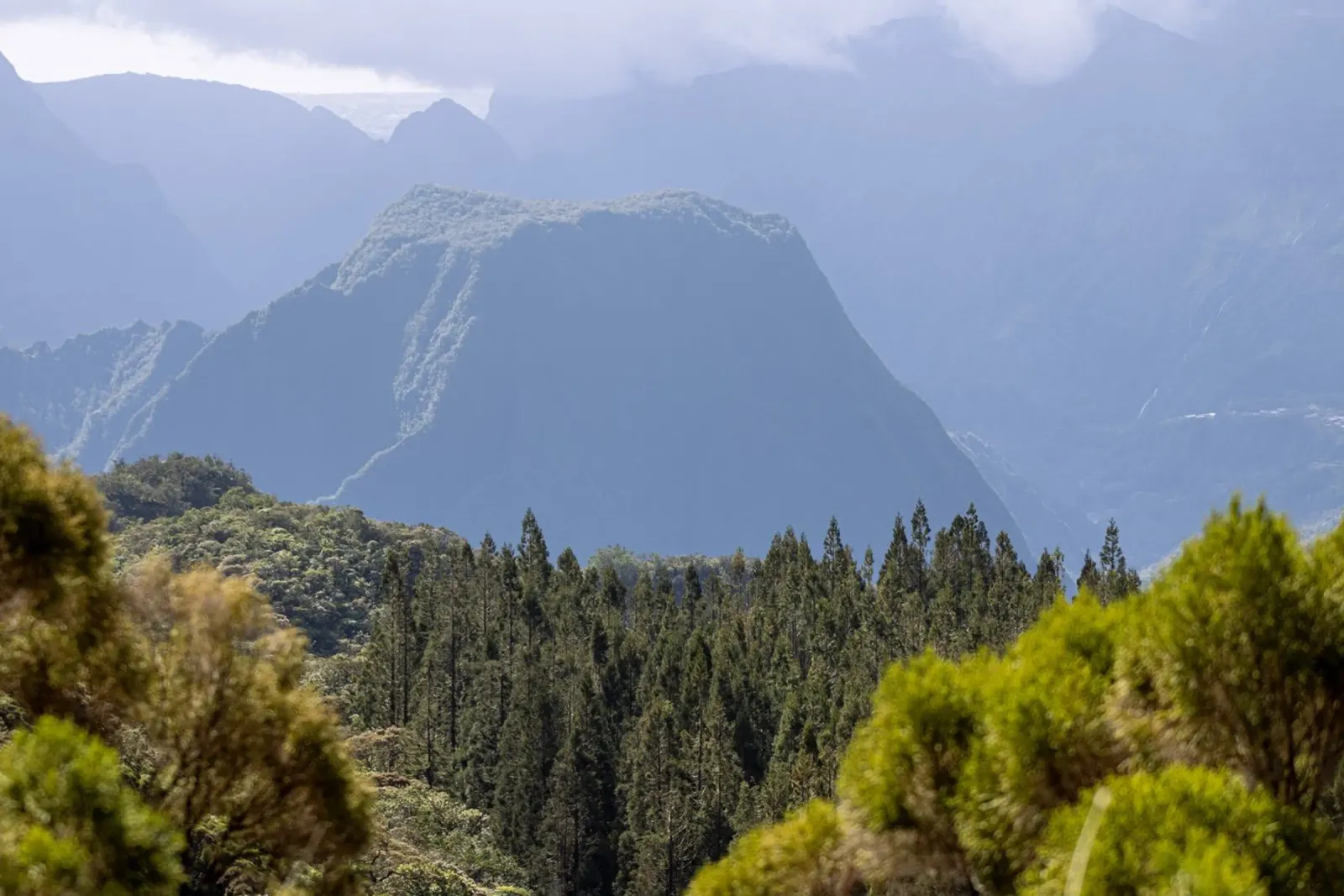 Vista sulle montagne e sulla foresta poster con telaio in alluminio da Léa Lefebvre Photography