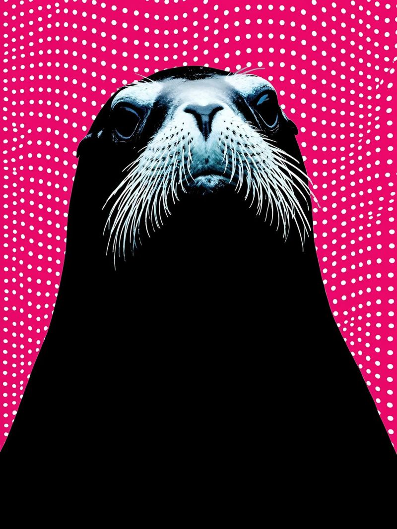 Zeeleeuw - Pop-art poster van ColorCrash Gallery