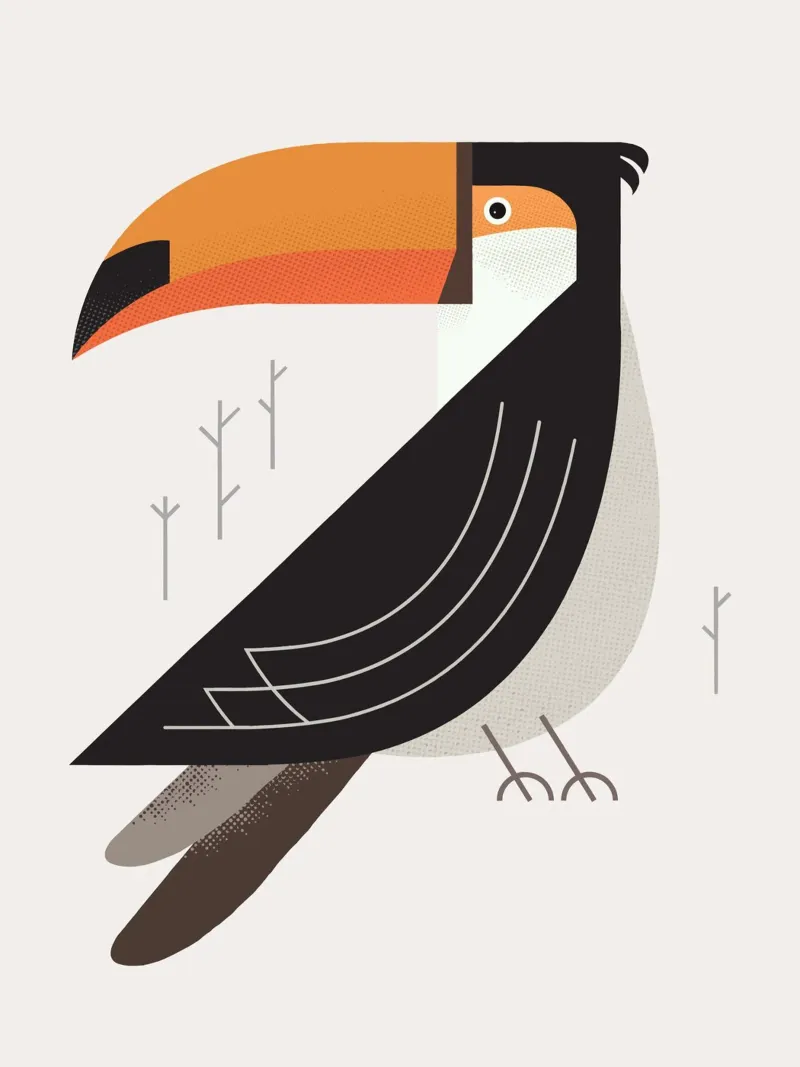 Tucano, uccello del Sud America pellicola backlit da The Printed Sparrow