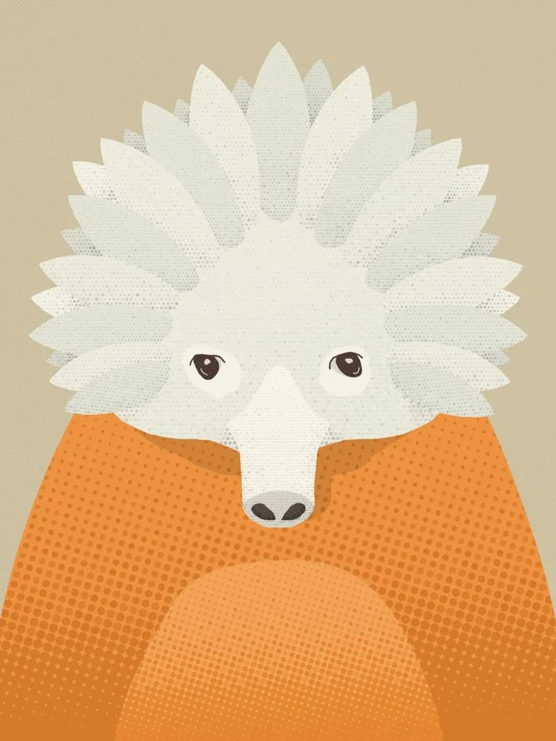 Whimsy Echidna, Retrato animal lámina retroiluminada de The Printed Sparrow