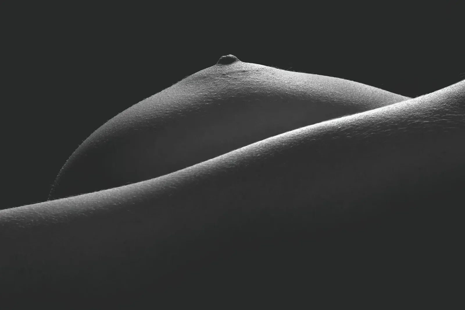 Breast Detail canvas by Dave Hare Photography