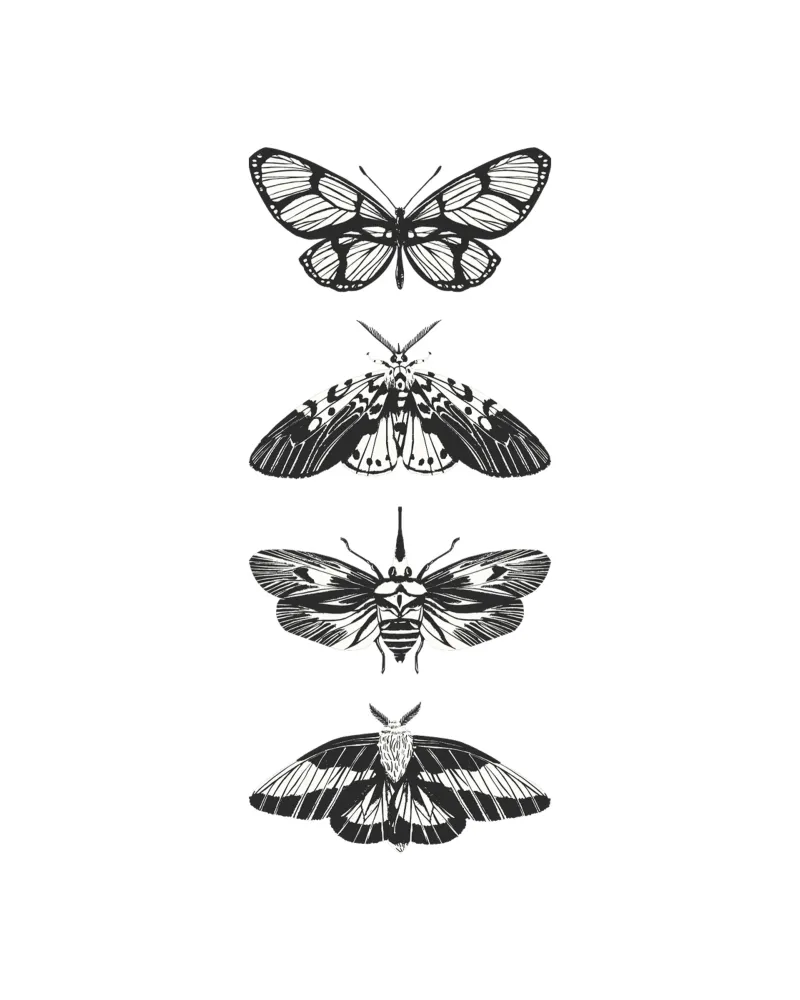 BUTTERFLIES panneau forex de Einfach Uebel