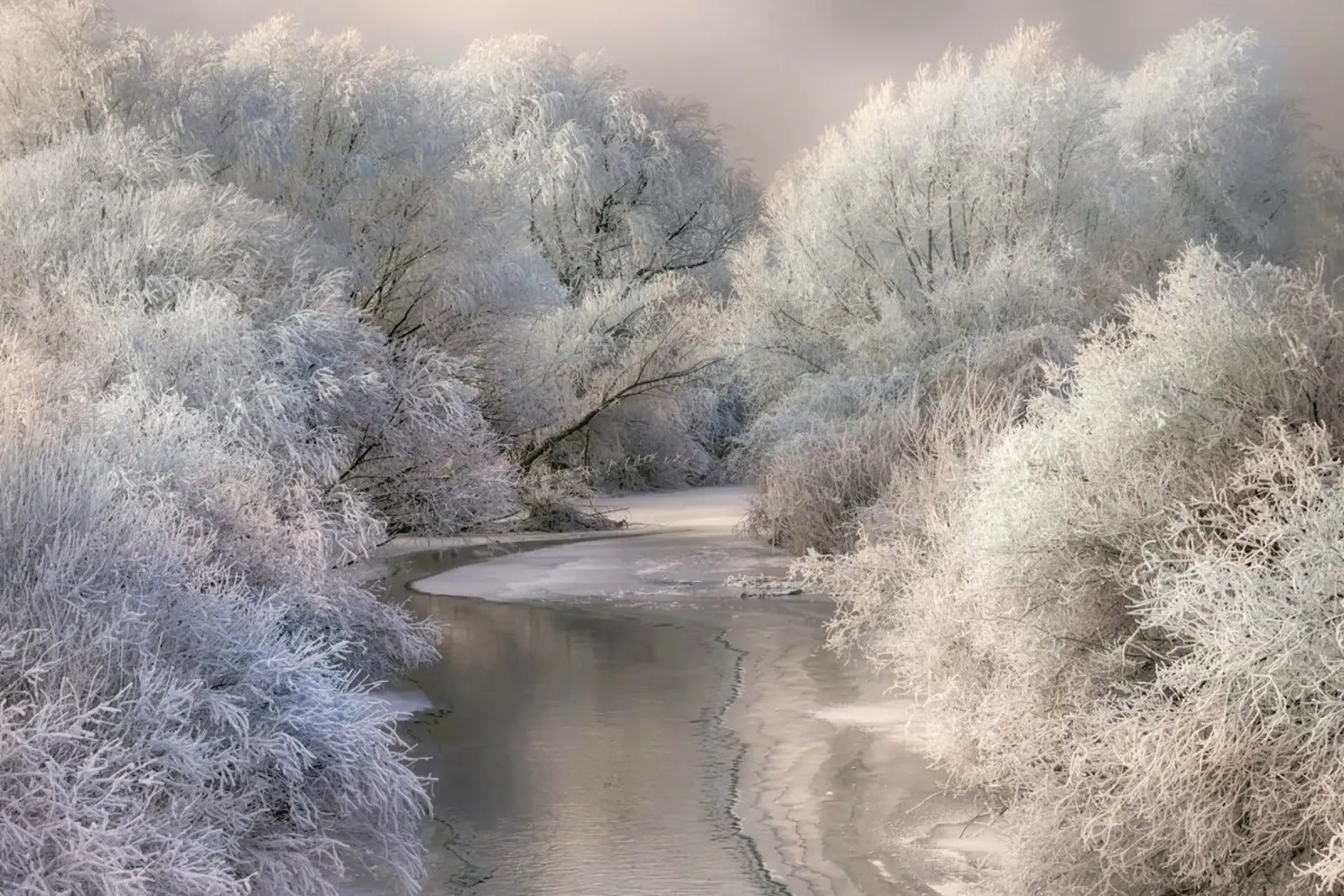Winter Song carta hahnemühle da Pictufy