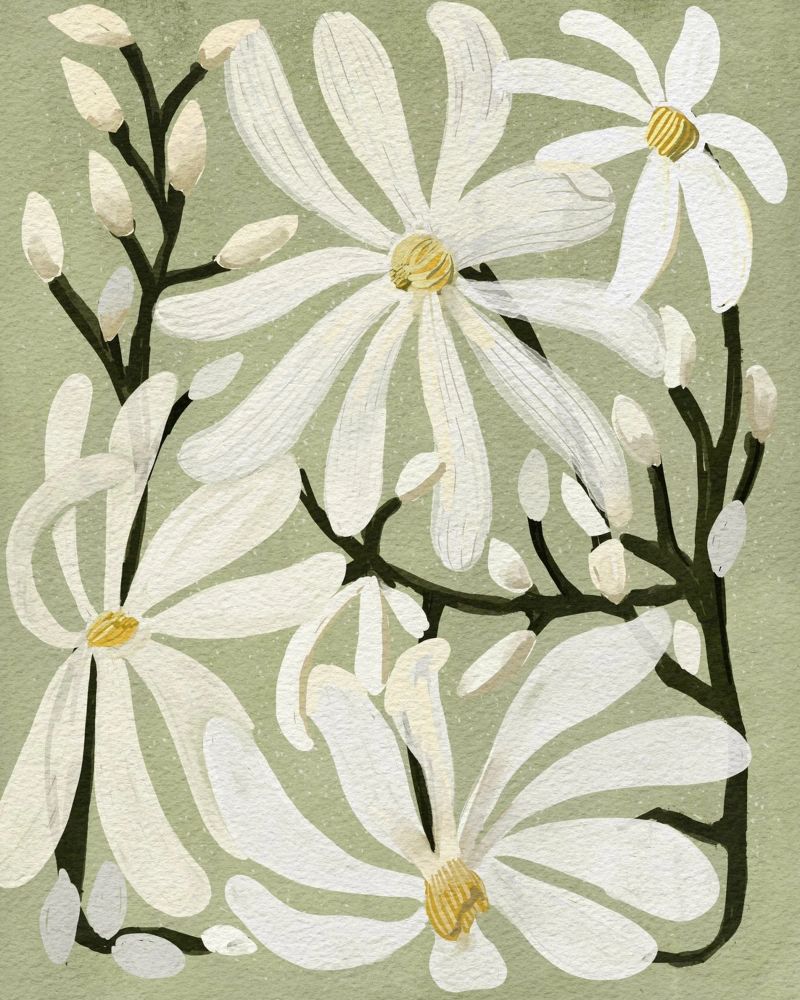 Sternmagnolie Poster von Katie O'Shea