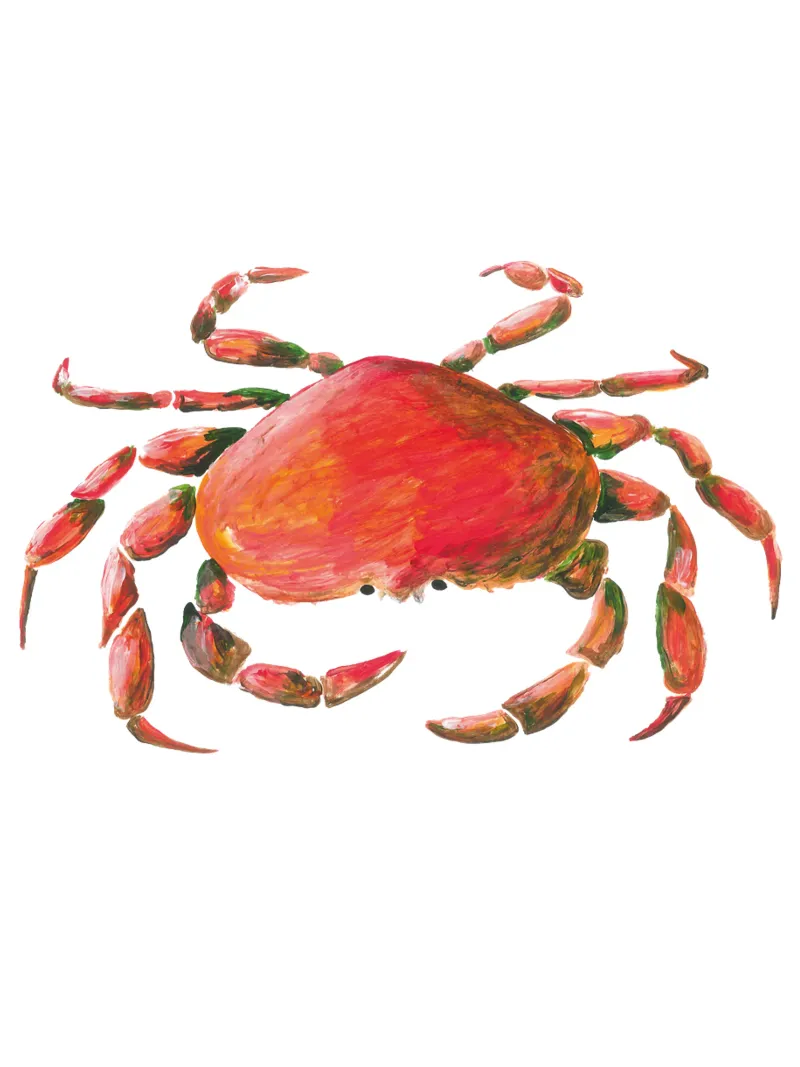 Crab pellicola backlit da Femke Zwaan