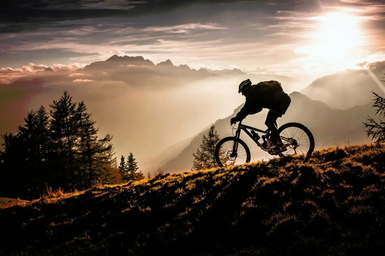 Golden Hour Biking poster de Pictufy