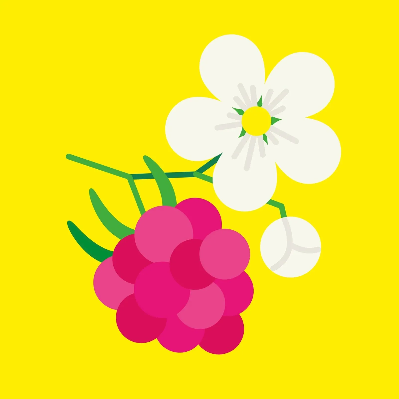 Raspberry Hahnemühle von Lidia Blomgren