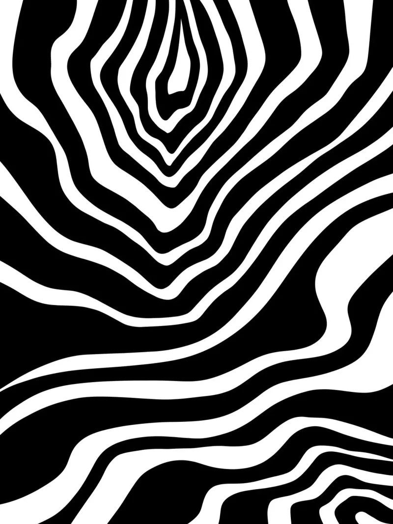 Minimalist Zebra Motif Hahnemühle von MODERN NUANCE