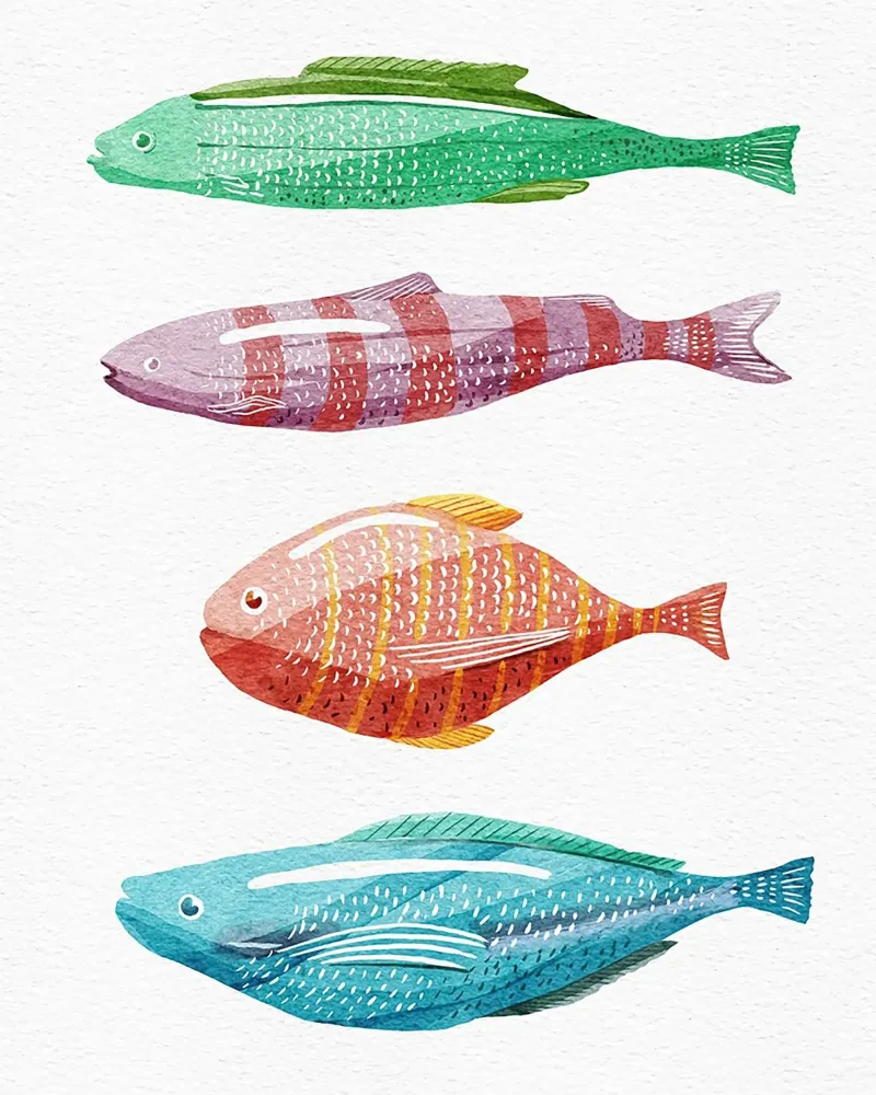 Quattro pesci colorati poster con telaio in alluminio da Katie O'Shea