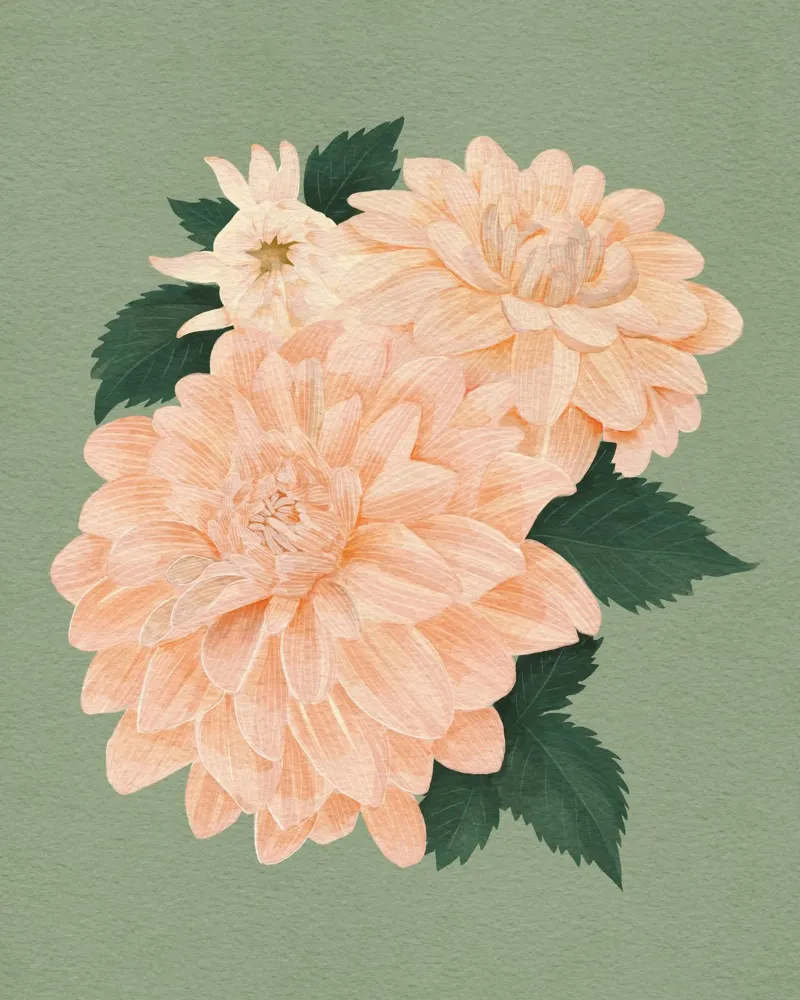 Dalias rosas poster de Katie O'Shea