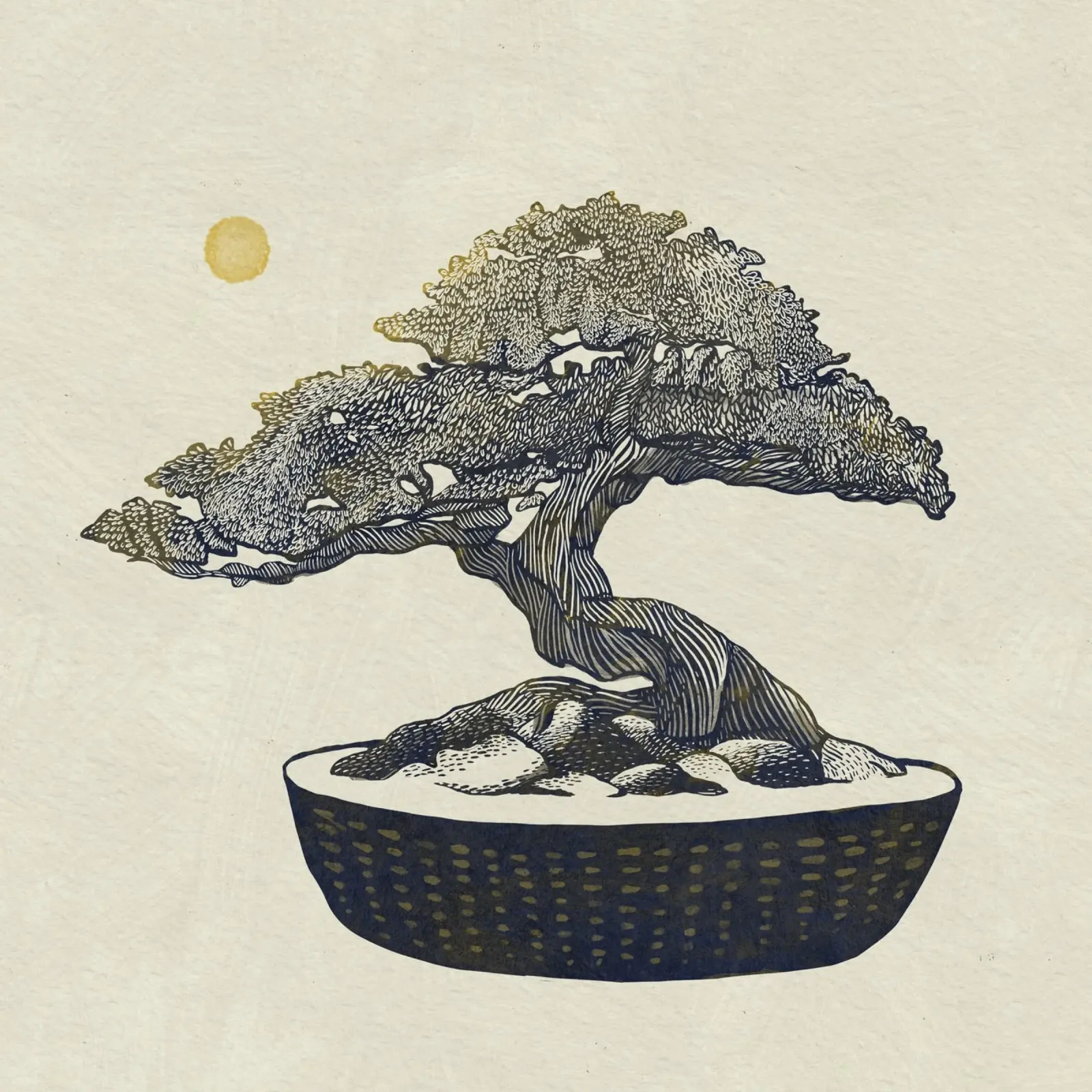 Bonsai alluminio dibond da Katie O'Shea