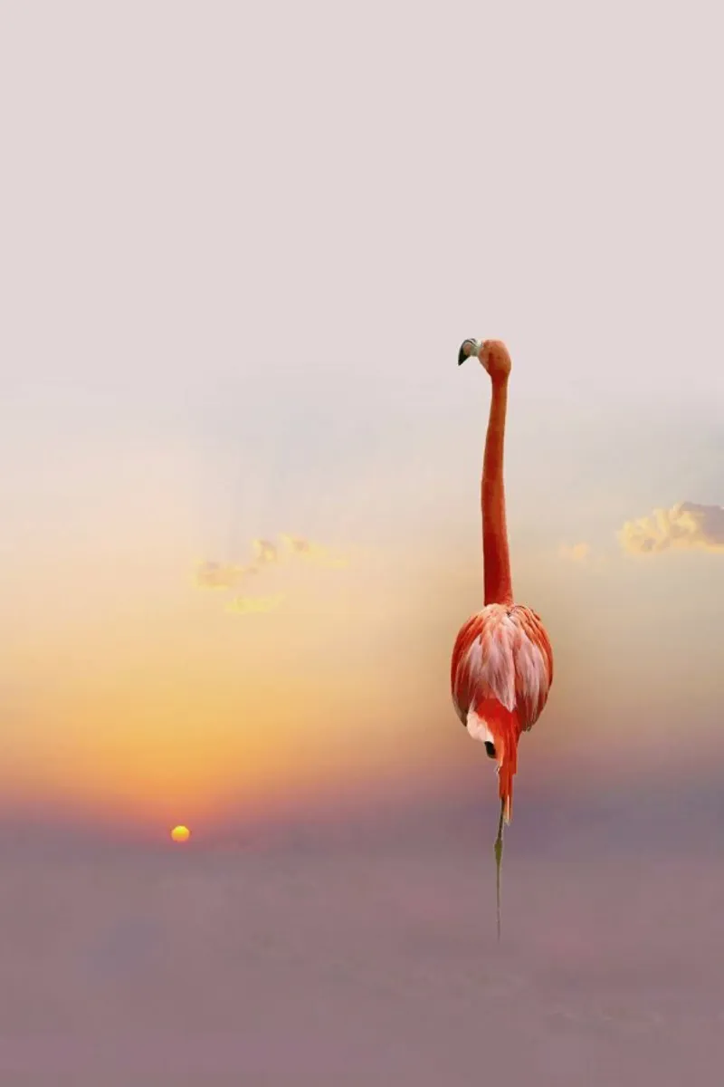 Sunset - Anna Cseresnjes carta hahnemühle da Pictufy