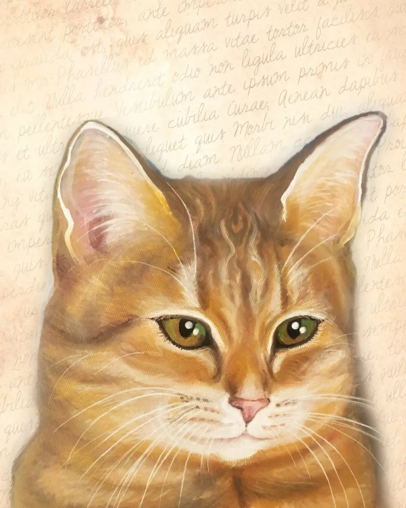 Katze Goldie pellicola backlit da Happy 😃 Art 🎨 by Christine Schnoell