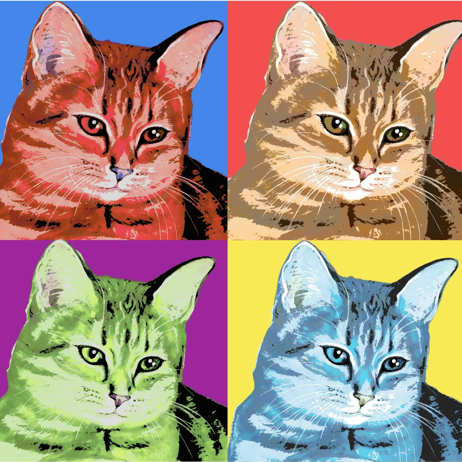 Pop-Art Cats 😻 pellicola backlit da Happy 😃 Art 🎨 by Christine Schnoell