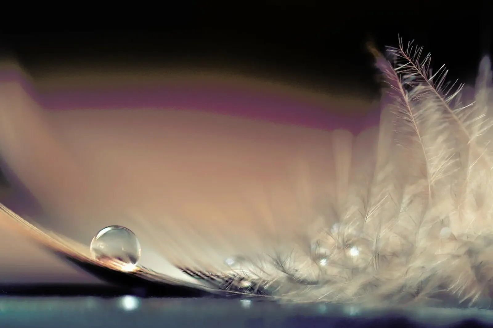 Stories of Drops alluminio dibond da Pictufy