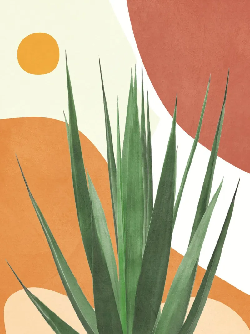 Abstract Agave Plant pellicola backlit da Flow Line