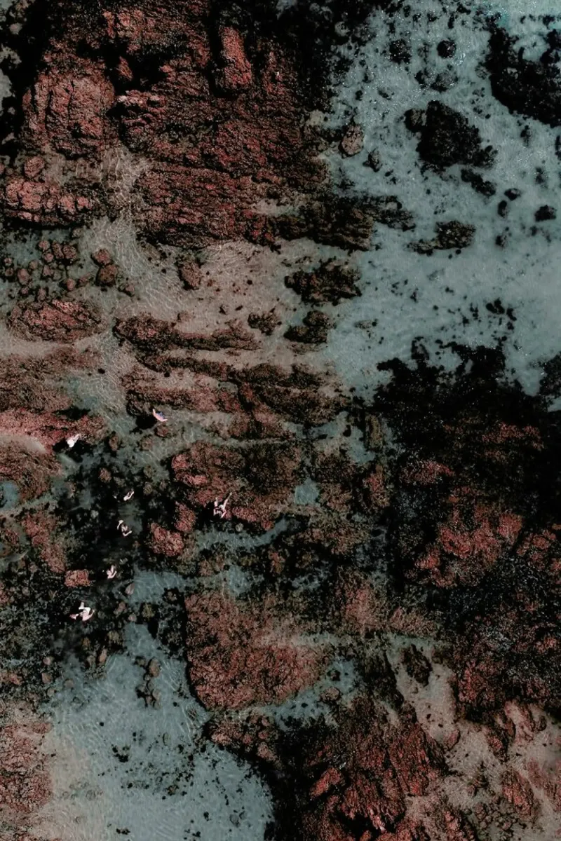 Walking on Mars carta hahnemühle da Ingrid Beddoes