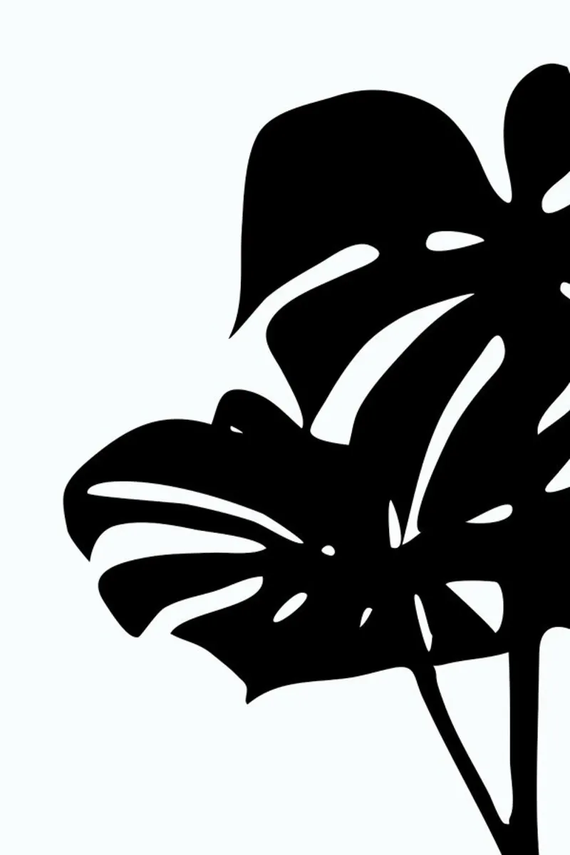 Monstera Leaf 2 pellicola backlit da Oh Darling