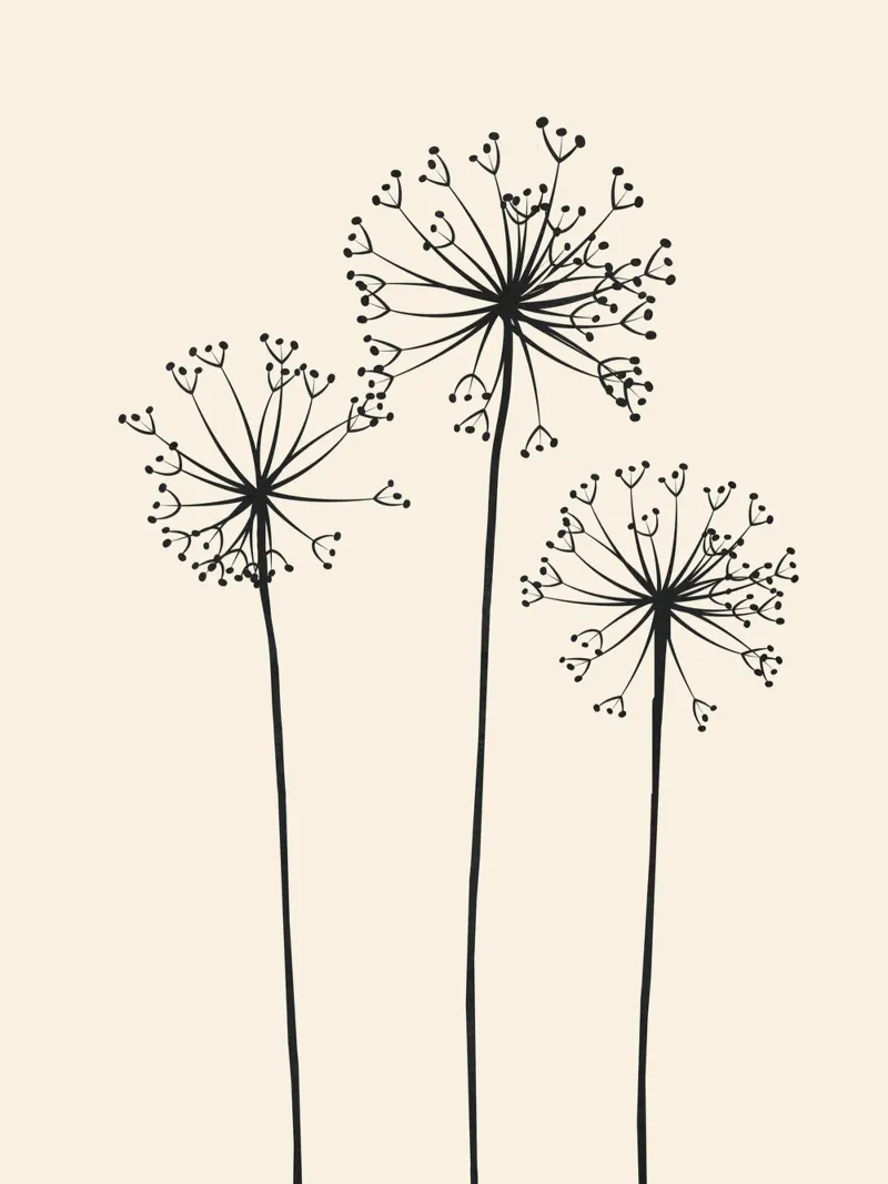 Dandelions pellicola backlit da Flow Line