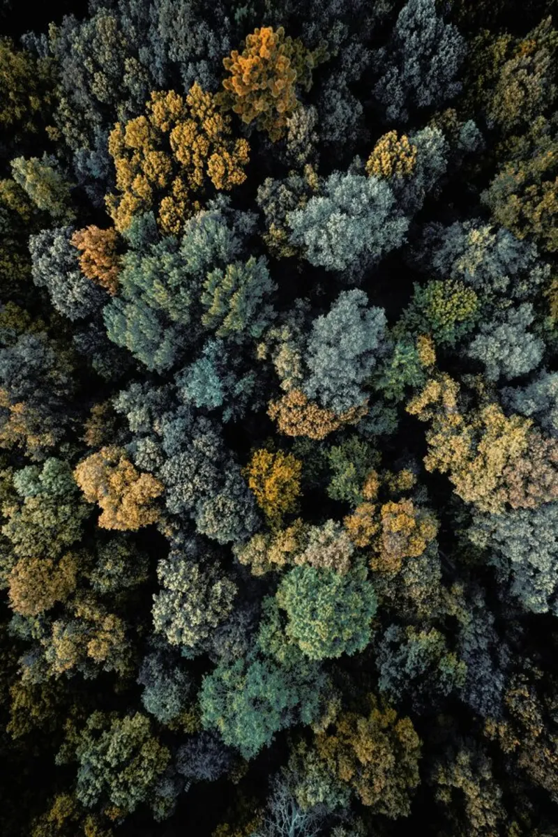 Toscana pellicola backlit da Airpixels