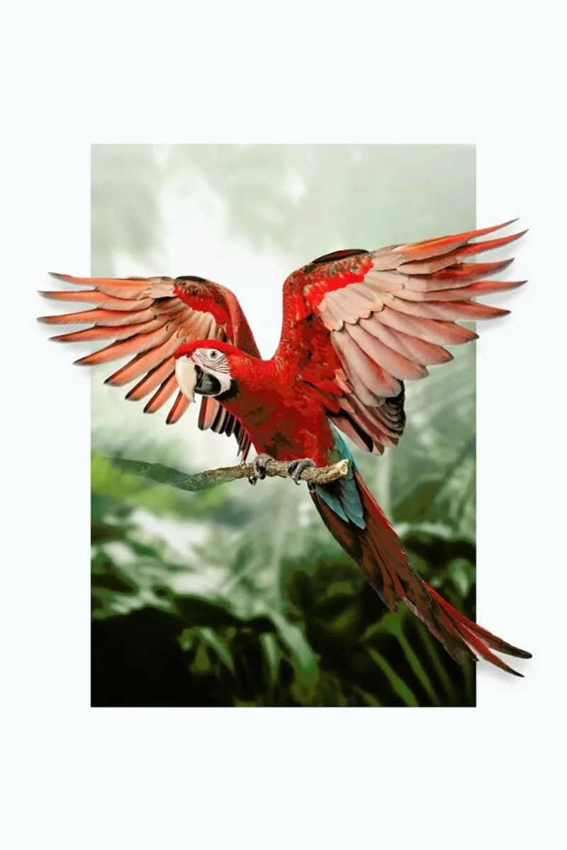 PARROT poster da JONAS LOOSE KIDS