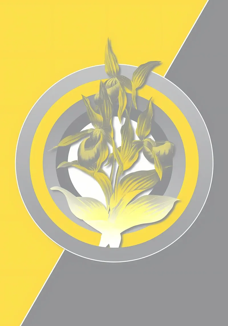 Ultimate Gray Retro Flower hahnemühle by diedrich