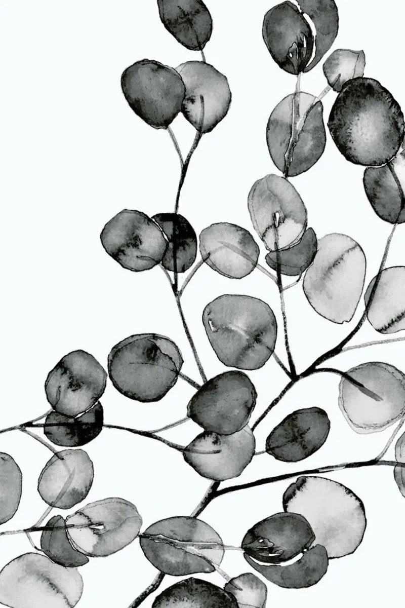 Eucalyptus Watercolor Black & White poster con telaio in plastica da Monika Strigel