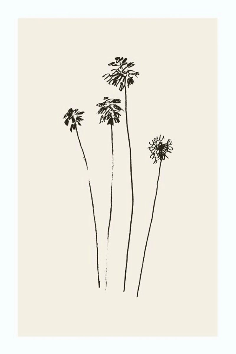 Palm Silhouettes Poster von Flora & Fauna