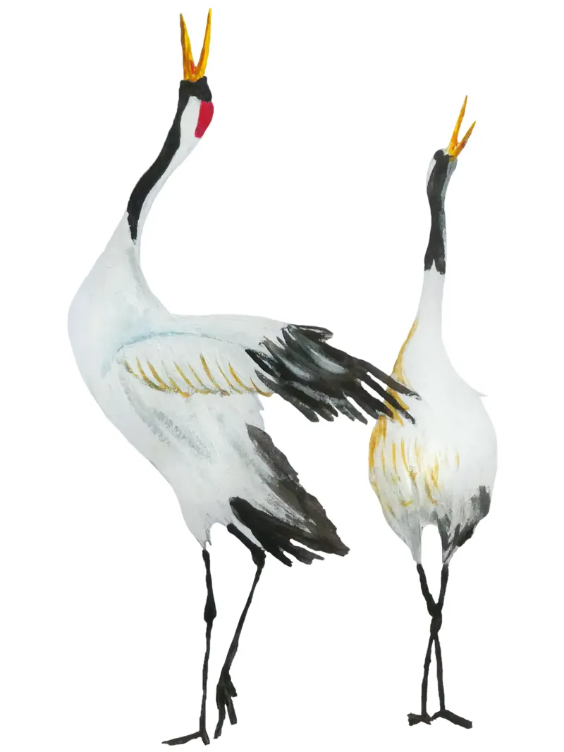 Japanese cranes pellicola backlit da Femke Zwaan