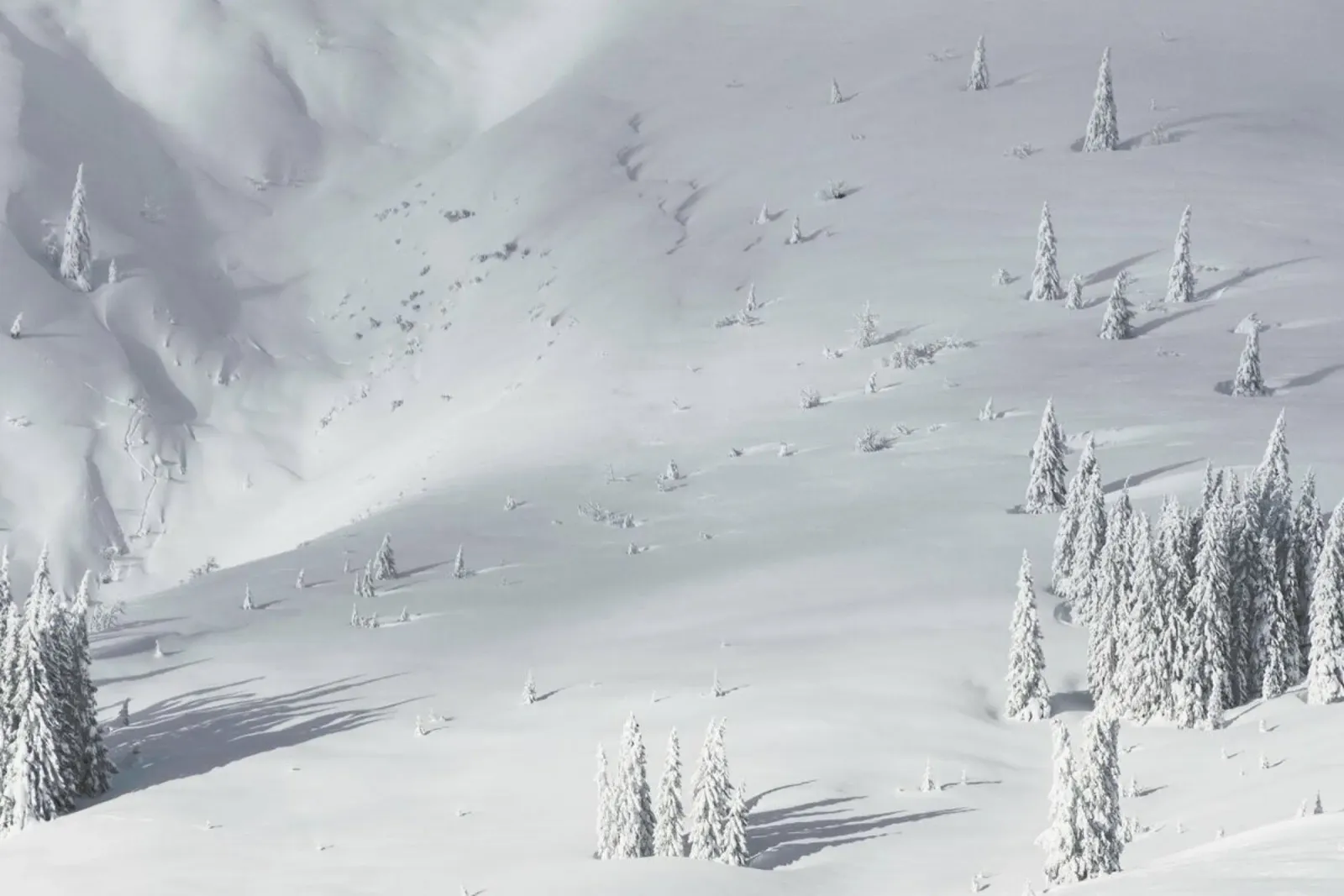 Planet Snow 1 pellicola backlit da Nur Mut