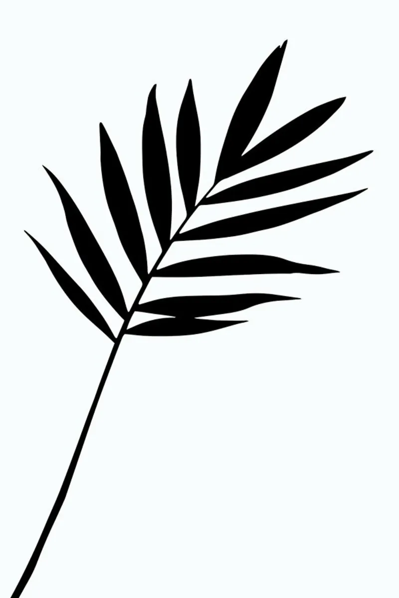 Leaf Specimen Palm pellicola backlit da Oh Darling