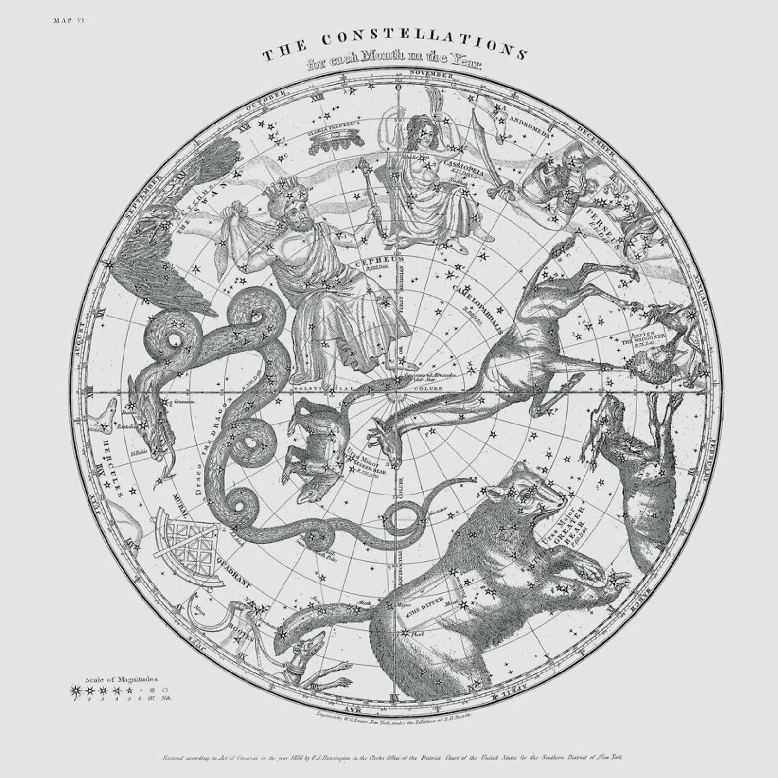 The Constellations toile de Astër