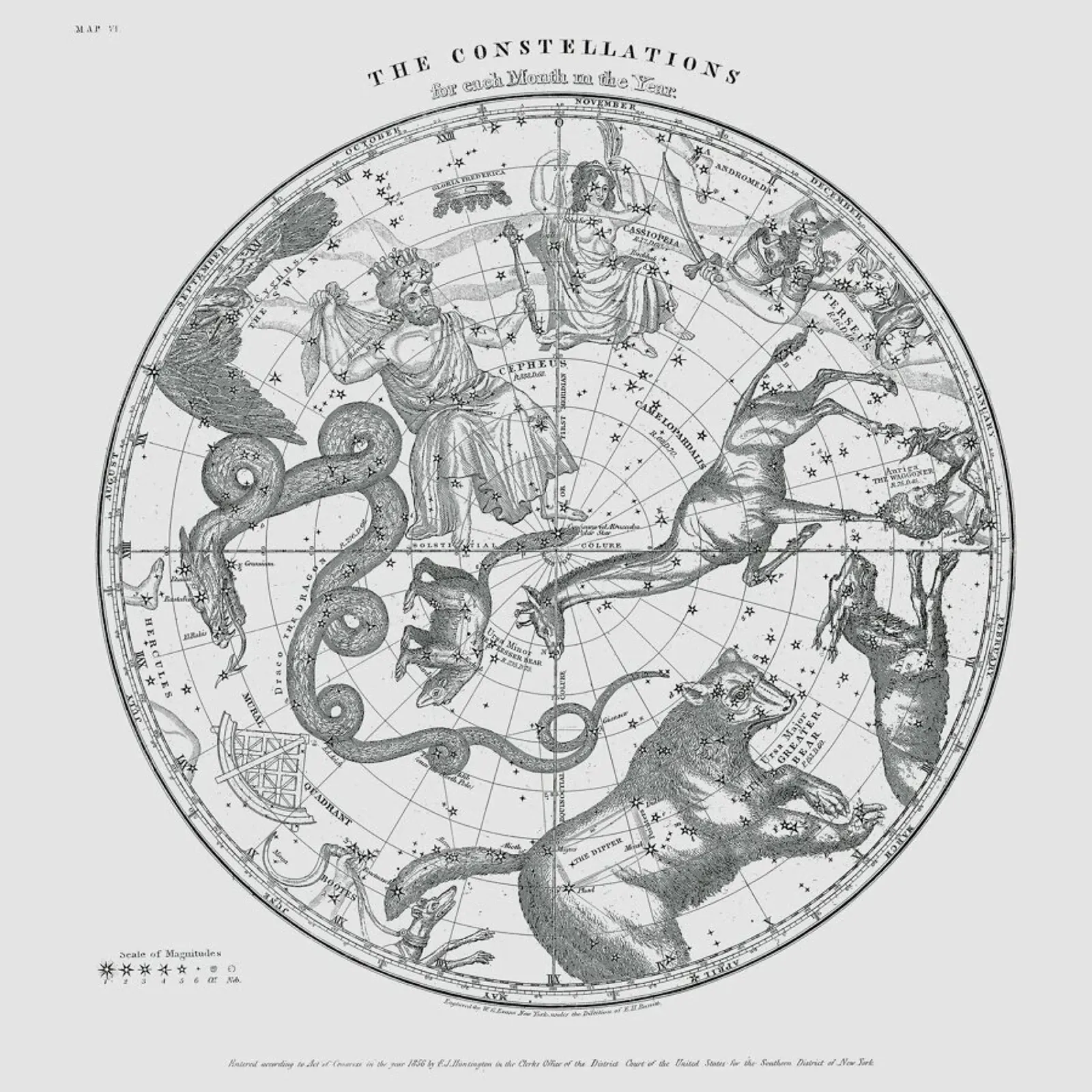 The Constellations poster da Astër