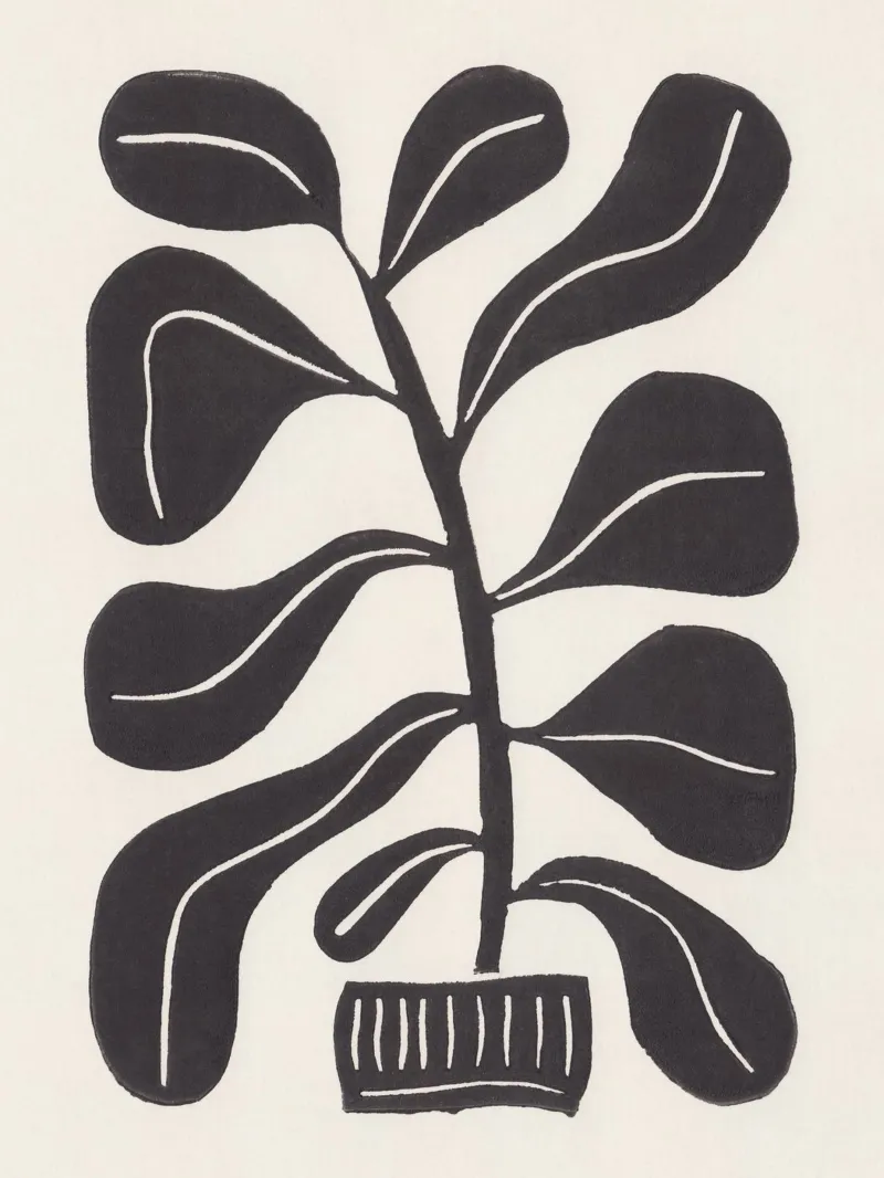 Pianta d'appartamento Linocut #4 pellicola backlit da Alisa Galitsyna