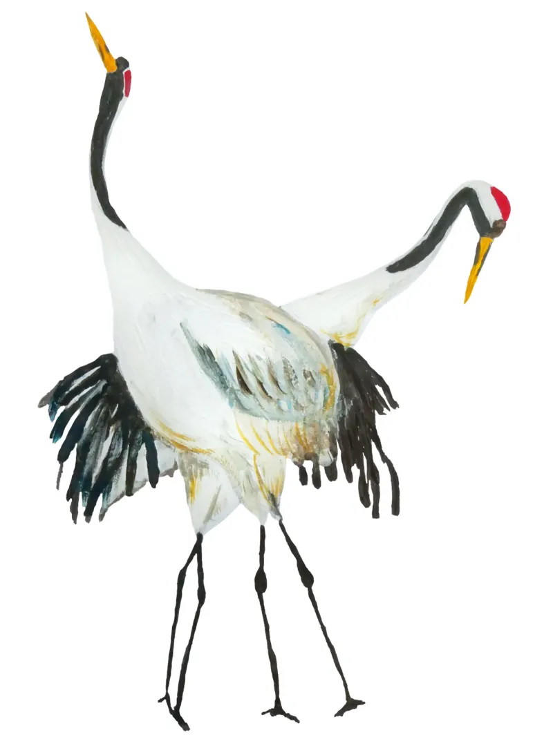 Japanese cranes pellicola backlit da Femke Zwaan
