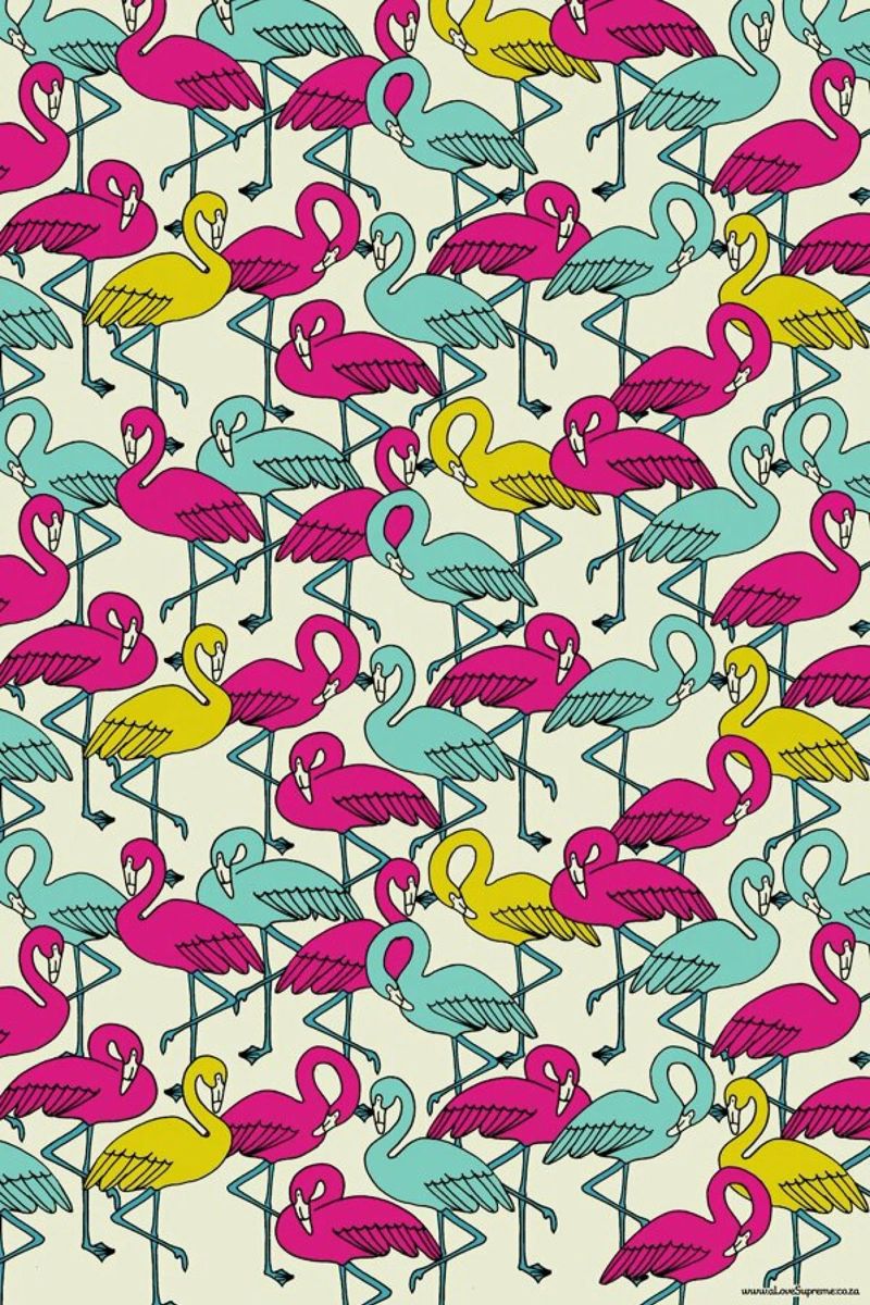 Wrapping Paper Flamingos pellicola backlit da a Love Supreme