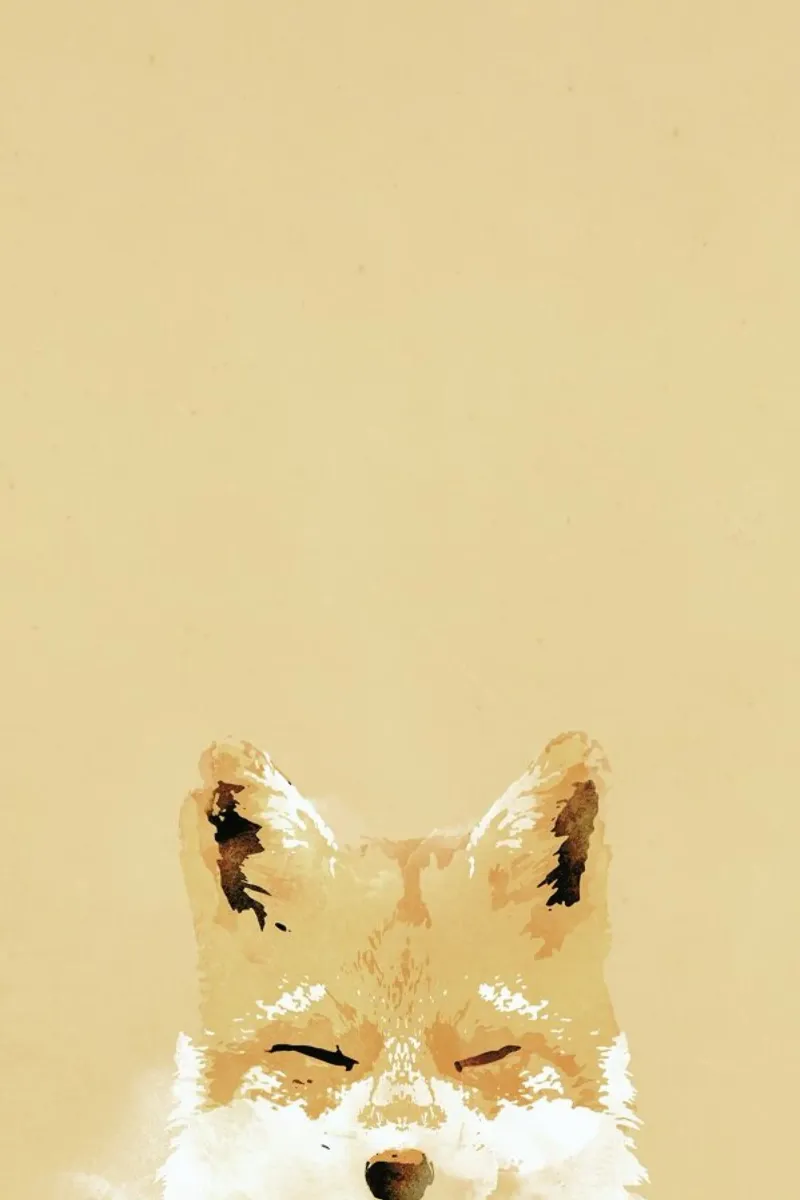 Smiling Fox carta hahnemühle da Róbert Farkas