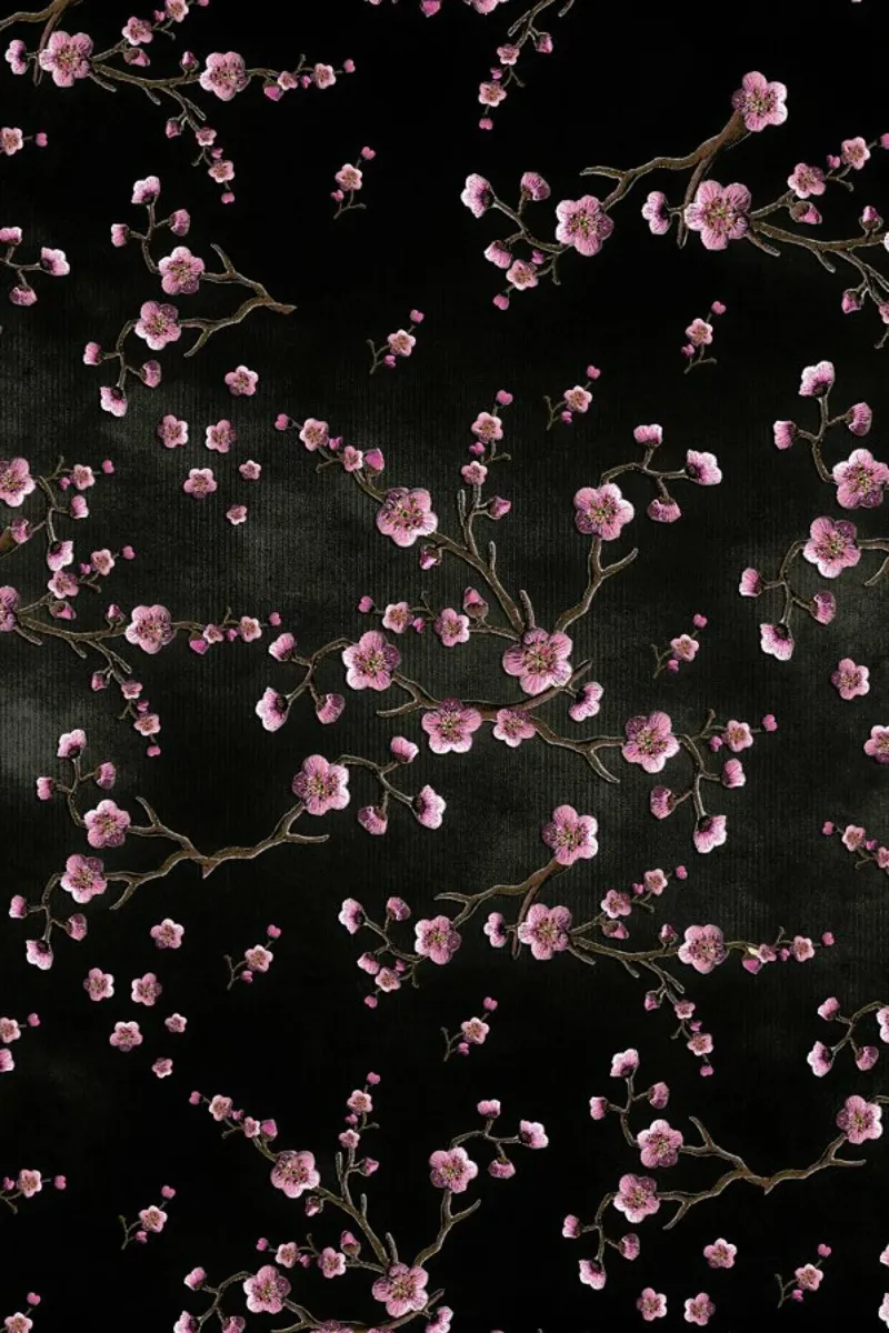 Sakura Black pellicola backlit da Monika Strigel