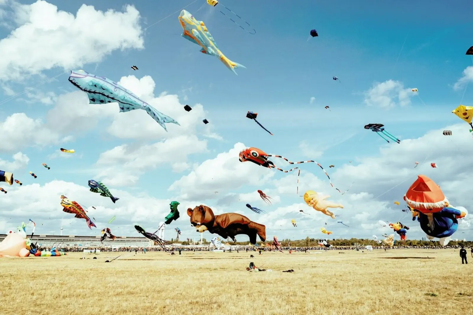 Animal Parade carta hahnemühle da EyeEm Mobile GmbH