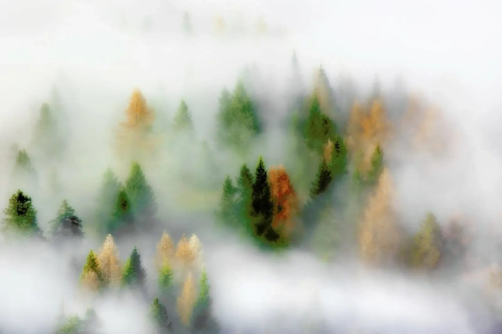 Autumn Dream - Kristjan Rems carta hahnemühle da Pictufy