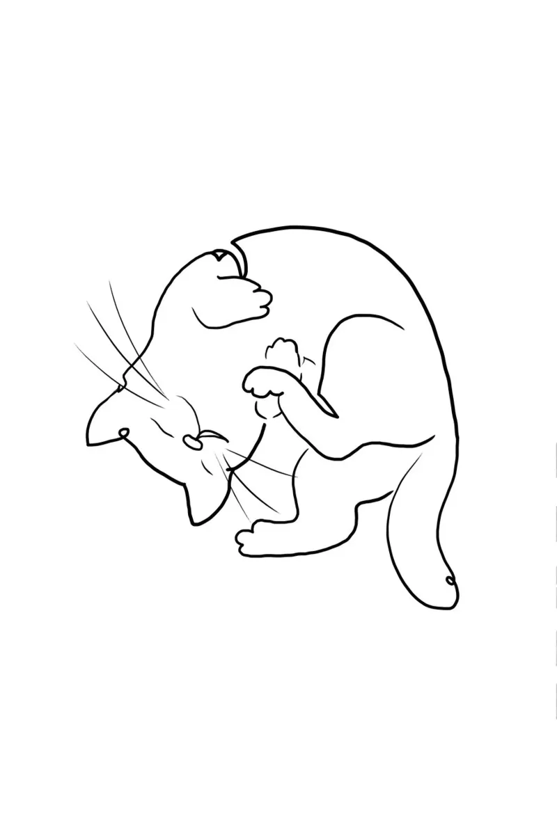 Oneline Cat carta hahnemühle da KRUTH DESIGN