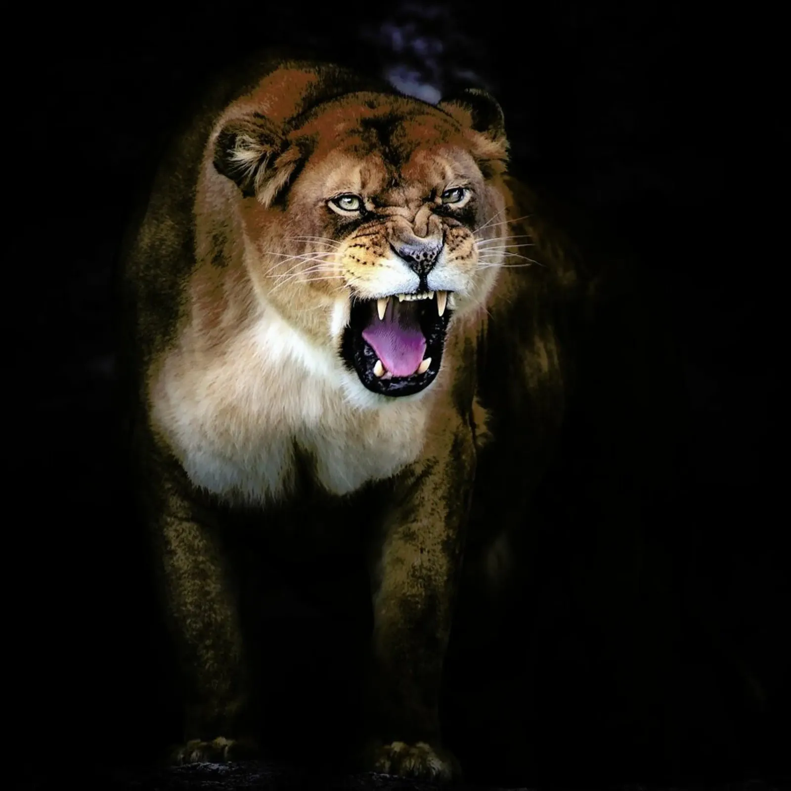 Lion Portrait -Santiago Pascual Buye Hahnemühle von Pictufy