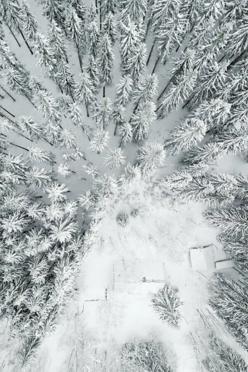 Calm Winter carta hahnemühle da Studio Nahili