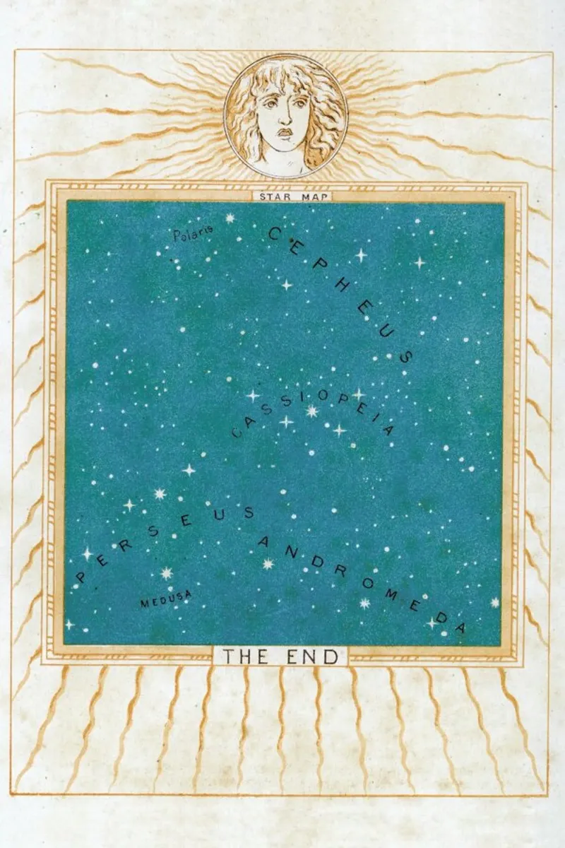 Star Map pellicola backlit da Flora & Fauna